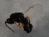  ( - MZEUR-0019)  @11 [ ] Unspecified (default): All Rights Reserved  Unspecified Unspecified