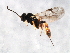  ( - MZPAR-0001)  @11 [ ] Unspecified (default): All Rights Reserved  Unspecified Unspecified