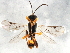  ( - MZPAR-0002)  @11 [ ] Unspecified (default): All Rights Reserved  Unspecified Unspecified