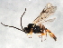  ( - MZPAR-0003)  @14 [ ] Unspecified (default): All Rights Reserved  Unspecified Unspecified