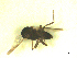  ( - BIOUG02451-A05)  @11 [ ] CreativeCommons - Attribution (2012) CBG Photography Group Centre for Biodiversity Genomics