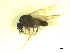  ( - BIOUG02451-A06)  @11 [ ] CreativeCommons - Attribution (2012) CBG Photography Group Centre for Biodiversity Genomics