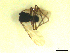  ( - BIOUG02451-A08)  @12 [ ] CreativeCommons - Attribution (2012) CBG Photography Group Centre for Biodiversity Genomics