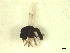  ( - BIOUG02451-F01)  @11 [ ] CreativeCommons - Attribution (2012) CBG Photography Group Centre for Biodiversity Genomics