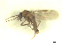  ( - BIOUG02451-F04)  @11 [ ] CreativeCommons - Attribution (2012) CBG Photography Group Centre for Biodiversity Genomics