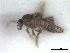 ( - BIOUG02451-F07)  @11 [ ] CreativeCommons - Attribution (2012) CBG Photography Group Centre for Biodiversity Genomics