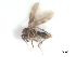 ( - BIOUG02451-F08)  @11 [ ] CreativeCommons - Attribution (2012) CBG Photography Group Centre for Biodiversity Genomics