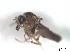  ( - BIOUG02451-G02)  @12 [ ] CreativeCommons - Attribution (2012) CBG Photography Group Centre for Biodiversity Genomics