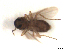  ( - BIOUG02451-H10)  @11 [ ] CreativeCommons - Attribution (2012) CBG Photography Group Centre for Biodiversity Genomics