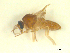  ( - BIOUG02452-A03)  @11 [ ] CreativeCommons - Attribution (2012) CBG Photography Group Centre for Biodiversity Genomics