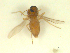  ( - BIOUG02452-A04)  @11 [ ] CreativeCommons - Attribution (2012) CBG Photography Group Centre for Biodiversity Genomics