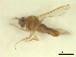  ( - BIOUG02452-A05)  @12 [ ] CreativeCommons - Attribution (2012) CBG Photography Group Centre for Biodiversity Genomics