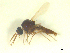  ( - BIOUG02452-A08)  @11 [ ] CreativeCommons - Attribution (2012) CBG Photography Group Centre for Biodiversity Genomics