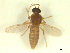  ( - BIOUG02452-A10)  @11 [ ] CreativeCommons - Attribution (2012) CBG Photography Group Centre for Biodiversity Genomics
