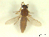  ( - BIOUG02452-A11)  @11 [ ] CreativeCommons - Attribution (2012) CBG Photography Group Centre for Biodiversity Genomics