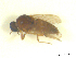  ( - BIOUG02452-B01)  @11 [ ] CreativeCommons - Attribution (2012) CBG Photography Group Centre for Biodiversity Genomics