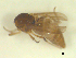  ( - BIOUG02452-B02)  @12 [ ] CreativeCommons - Attribution (2012) CBG Photography Group Centre for Biodiversity Genomics
