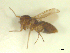  ( - BIOUG02452-B03)  @12 [ ] CreativeCommons - Attribution (2012) CBG Photography Group Centre for Biodiversity Genomics