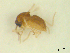  ( - BIOUG02452-C03)  @12 [ ] CreativeCommons - Attribution (2012) CBG Photography Group Centre for Biodiversity Genomics