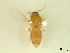  ( - BIOUG02452-C07)  @11 [ ] CreativeCommons - Attribution (2012) CBG Photography Group Centre for Biodiversity Genomics
