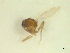  ( - BIOUG02452-C10)  @11 [ ] CreativeCommons - Attribution (2012) CBG Photography Group Centre for Biodiversity Genomics