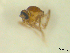  ( - BIOUG02452-C11)  @11 [ ] CreativeCommons - Attribution (2012) CBG Photography Group Centre for Biodiversity Genomics