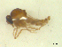  ( - BIOUG02452-D01)  @11 [ ] CreativeCommons - Attribution (2012) CBG Photography Group Centre for Biodiversity Genomics