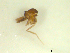  ( - BIOUG02452-D02)  @11 [ ] CreativeCommons - Attribution (2012) CBG Photography Group Centre for Biodiversity Genomics