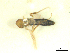  ( - BIOUG02452-D03)  @12 [ ] CreativeCommons - Attribution (2012) CBG Photography Group Centre for Biodiversity Genomics