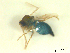  ( - BIOUG02452-D06)  @12 [ ] CreativeCommons - Attribution (2012) CBG Photography Group Centre for Biodiversity Genomics