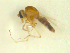  ( - BIOUG02452-F05)  @11 [ ] CreativeCommons - Attribution (2012) CBG Photography Group Centre for Biodiversity Genomics