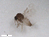  ( - BIOUG02453-C11)  @11 [ ] CreativeCommons - Attribution (2012) CBG Photography Group Centre for Biodiversity Genomics