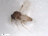  ( - BIOUG02453-D01)  @11 [ ] CreativeCommons - Attribution (2012) CBG Photography Group Centre for Biodiversity Genomics