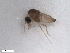  ( - BIOUG02453-D04)  @12 [ ] CreativeCommons - Attribution (2012) CBG Photography Group Centre for Biodiversity Genomics
