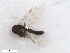  ( - BIOUG02453-D07)  @12 [ ] CreativeCommons - Attribution (2012) CBG Photography Group Centre for Biodiversity Genomics