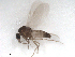  ( - BIOUG02453-E10)  @12 [ ] CreativeCommons - Attribution (2012) CBG Photography Group Centre for Biodiversity Genomics