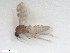  ( - BIOUG02453-F02)  @12 [ ] CreativeCommons - Attribution (2012) CBG Photography Group Centre for Biodiversity Genomics