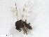  ( - BIOUG02453-F06)  @12 [ ] CreativeCommons - Attribution (2012) CBG Photography Group Centre for Biodiversity Genomics