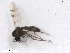  ( - BIOUG02453-G12)  @12 [ ] CreativeCommons - Attribution (2012) CBG Photography Group Centre for Biodiversity Genomics