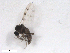  ( - BIOUG02453-H01)  @12 [ ] CreativeCommons - Attribution (2012) CBG Photography Group Centre for Biodiversity Genomics