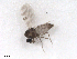  ( - BIOUG02453-H04)  @12 [ ] CreativeCommons - Attribution (2012) CBG Photography Group Centre for Biodiversity Genomics
