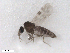  ( - BIOUG02453-H08)  @12 [ ] CreativeCommons - Attribution (2012) CBG Photography Group Centre for Biodiversity Genomics