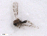  ( - BIOUG02454-D06)  @12 [ ] CreativeCommons - Attribution (2012) CBG Photography Group Centre for Biodiversity Genomics