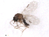  ( - BIOUG02454-G07)  @11 [ ] CreativeCommons - Attribution (2012) CBG Photography Group Centre for Biodiversity Genomics