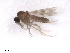  ( - BIOUG02454-G10)  @12 [ ] CreativeCommons - Attribution (2012) CBG Photography Group Centre for Biodiversity Genomics