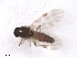  ( - BIOUG02454-G11)  @12 [ ] CreativeCommons - Attribution (2012) CBG Photography Group Centre for Biodiversity Genomics