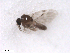  ( - BIOUG02454-G12)  @13 [ ] CreativeCommons - Attribution (2012) CBG Photography Group Centre for Biodiversity Genomics