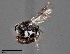  ( - CCDB-25170 C08)  @11 [ ] © (2018) Ryan Oram Royal Saskatchewan Museum