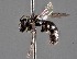  ( - CCDB-25170 E09)  @11 [ ] © (2018) Ryan Oram Royal Saskatchewan Museum