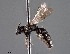  ( - CCDB-25170 E11)  @11 [ ] © (2018) Ryan Oram Royal Saskatchewan Museum